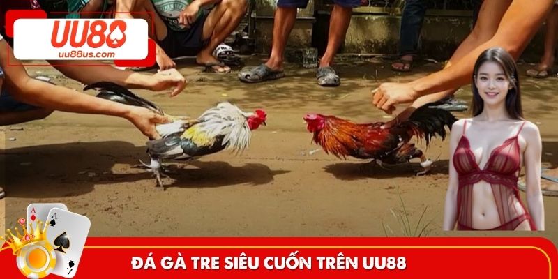Đá gà tre
